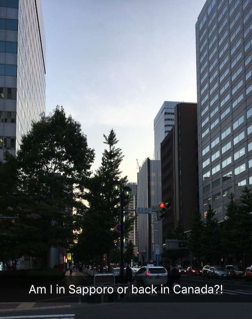Suburban Sapporo