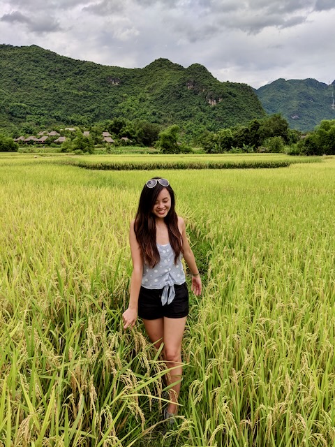 Rice paddy in Mai Chau