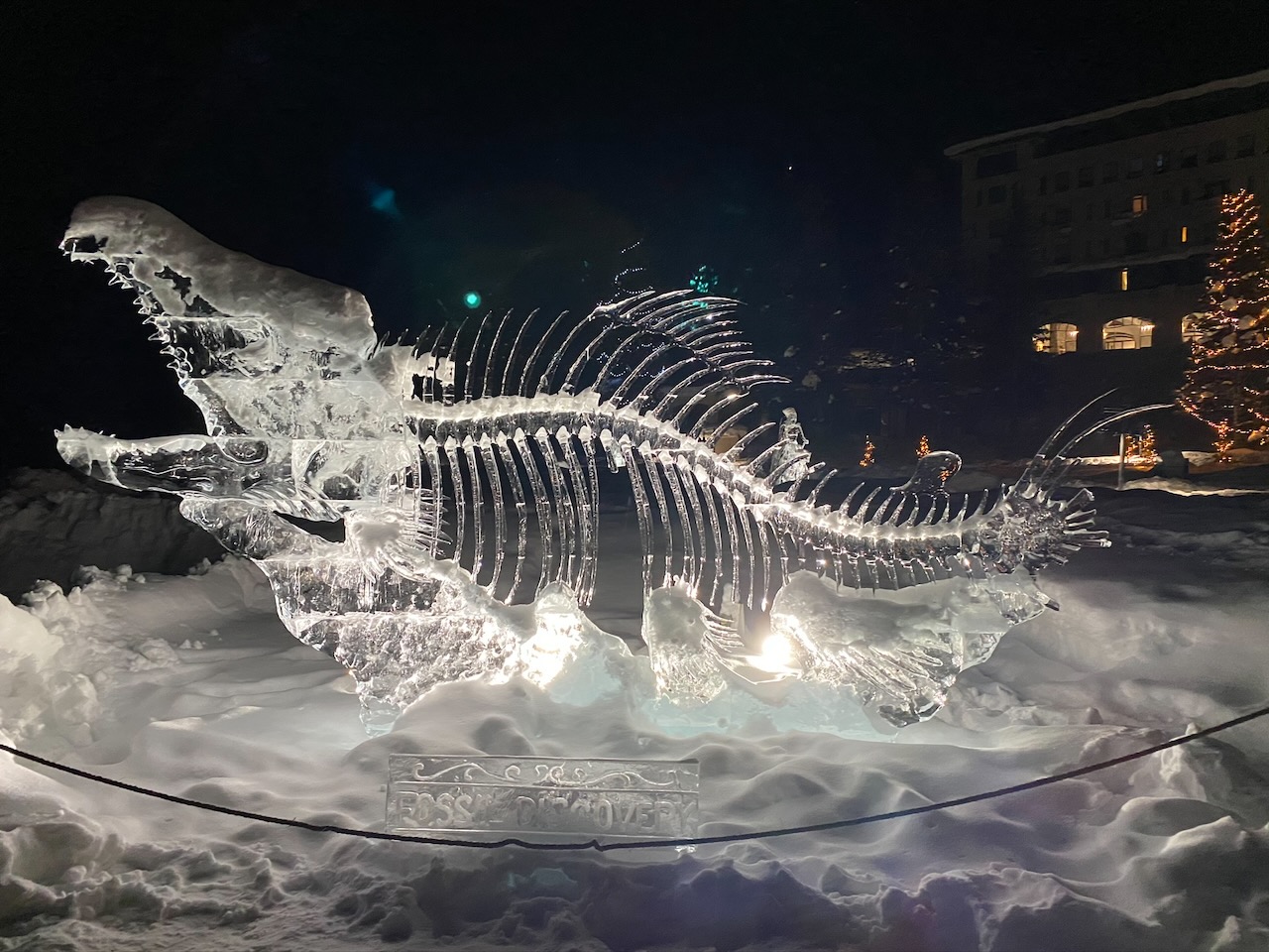 Ice sculpture