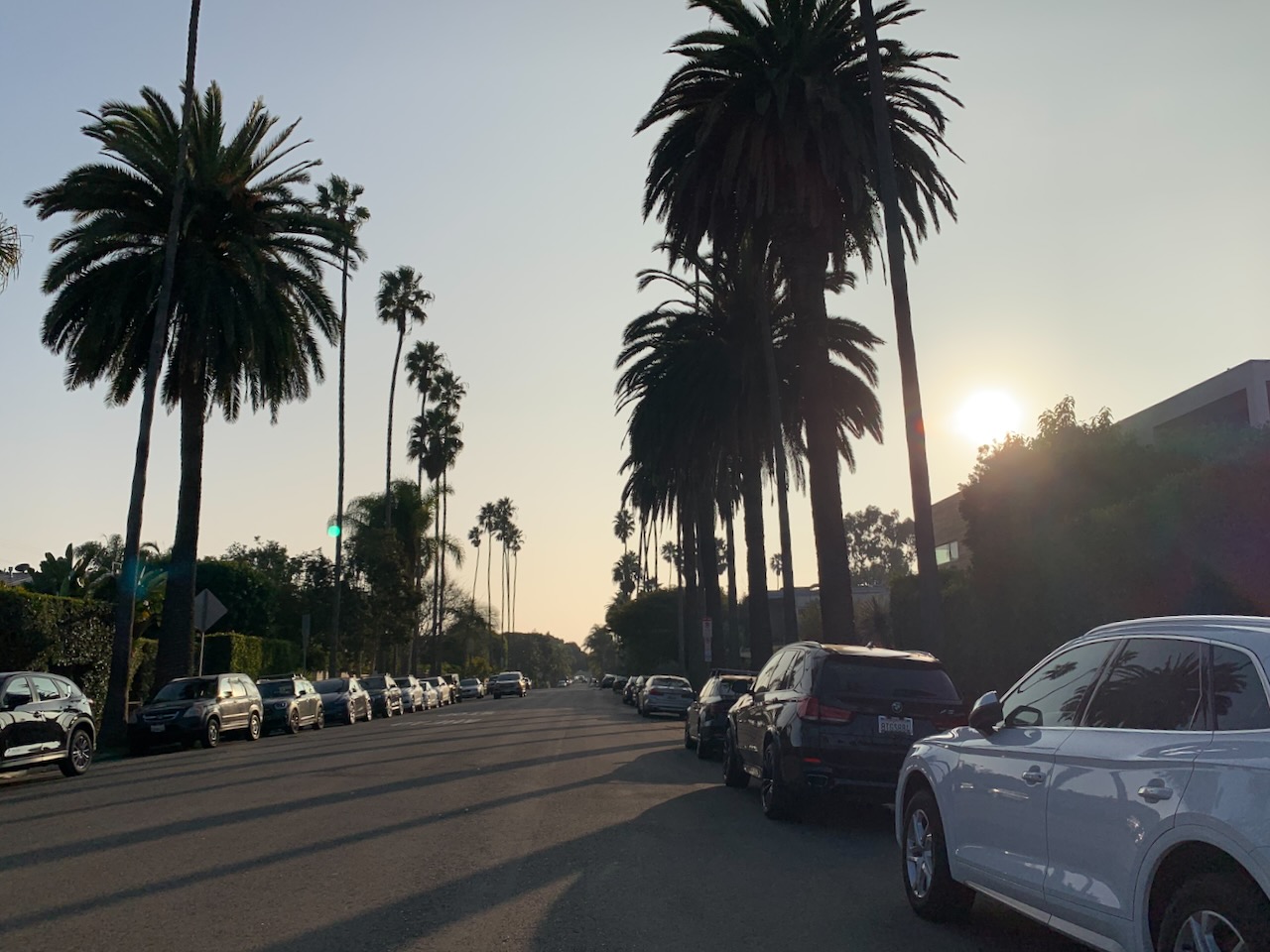 Abbot Kinney sunset