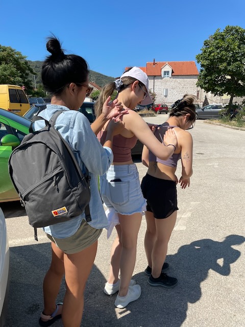 Sunscreen train