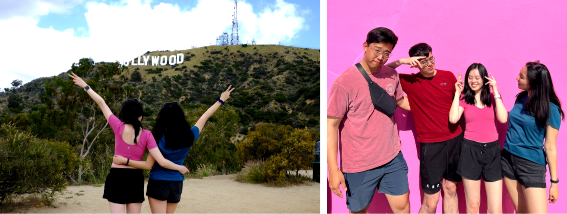 Hollywood sign and the pink wall