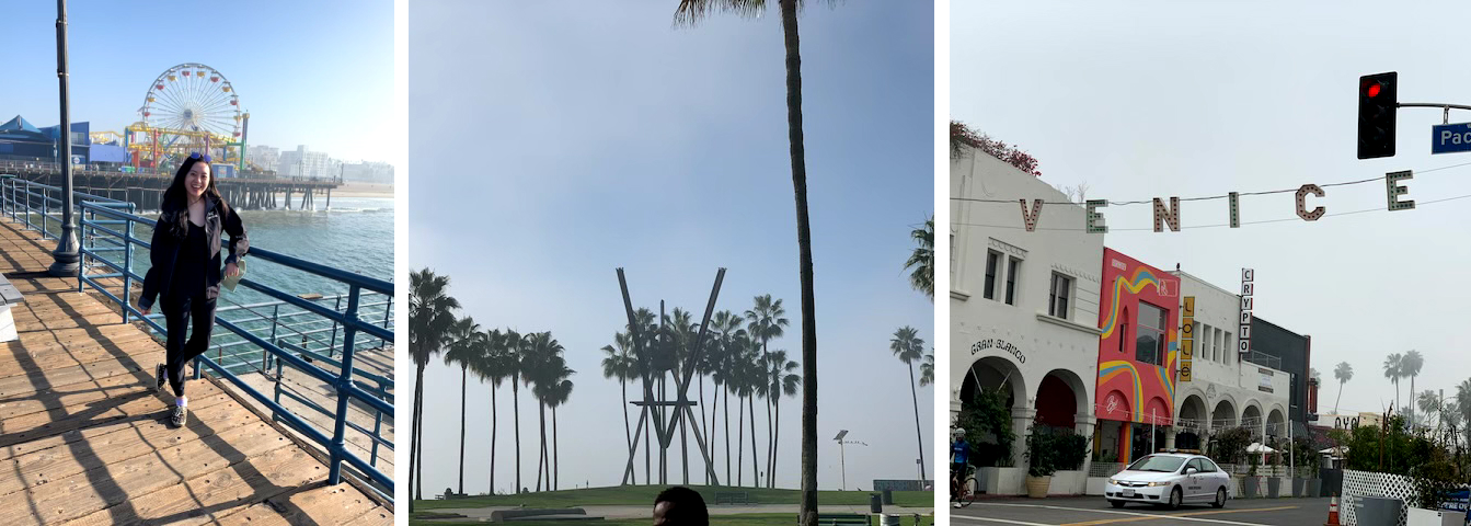 Santa Monica and Venice Beach