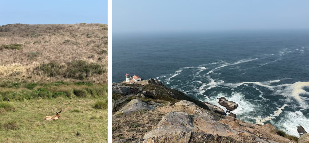 Tomales Bay hikes