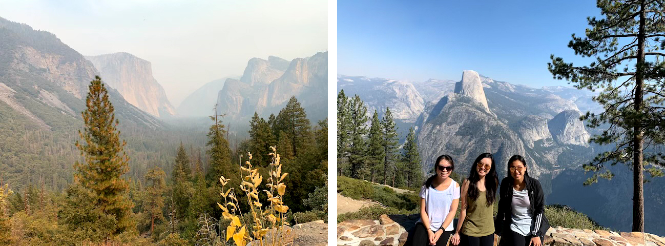 Half-dome and forest fires