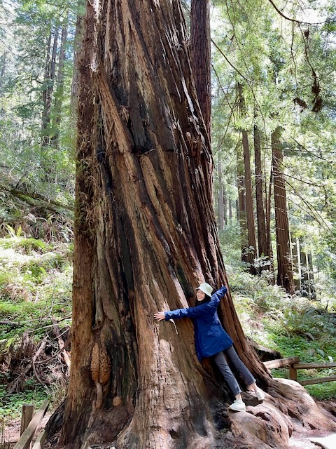 Tree hugging