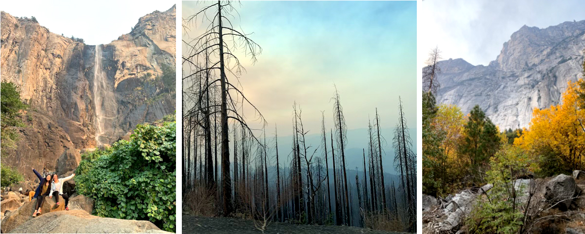 Forest fires in Yosemite