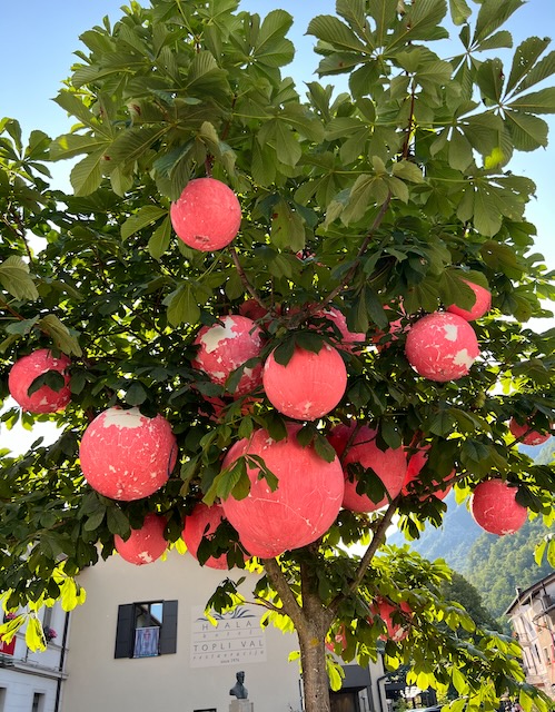 Kobarid tree