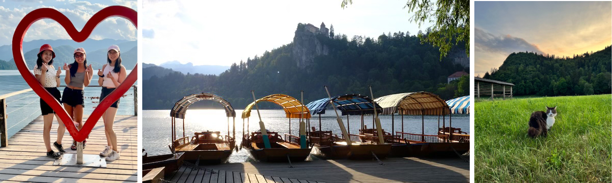 The pastoral side of Lake Bled